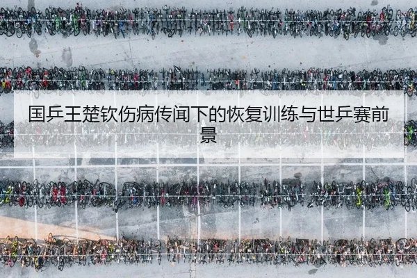 guo-ping-wang-chu-qin-shang-bing-chuan-wen-xia-de-hui-fu-xun-lian-yu-shi-ping-sai-qian-jing-2-896.jpg